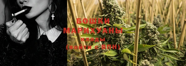 ПСИЛОЦИБИНОВЫЕ ГРИБЫ Богородицк